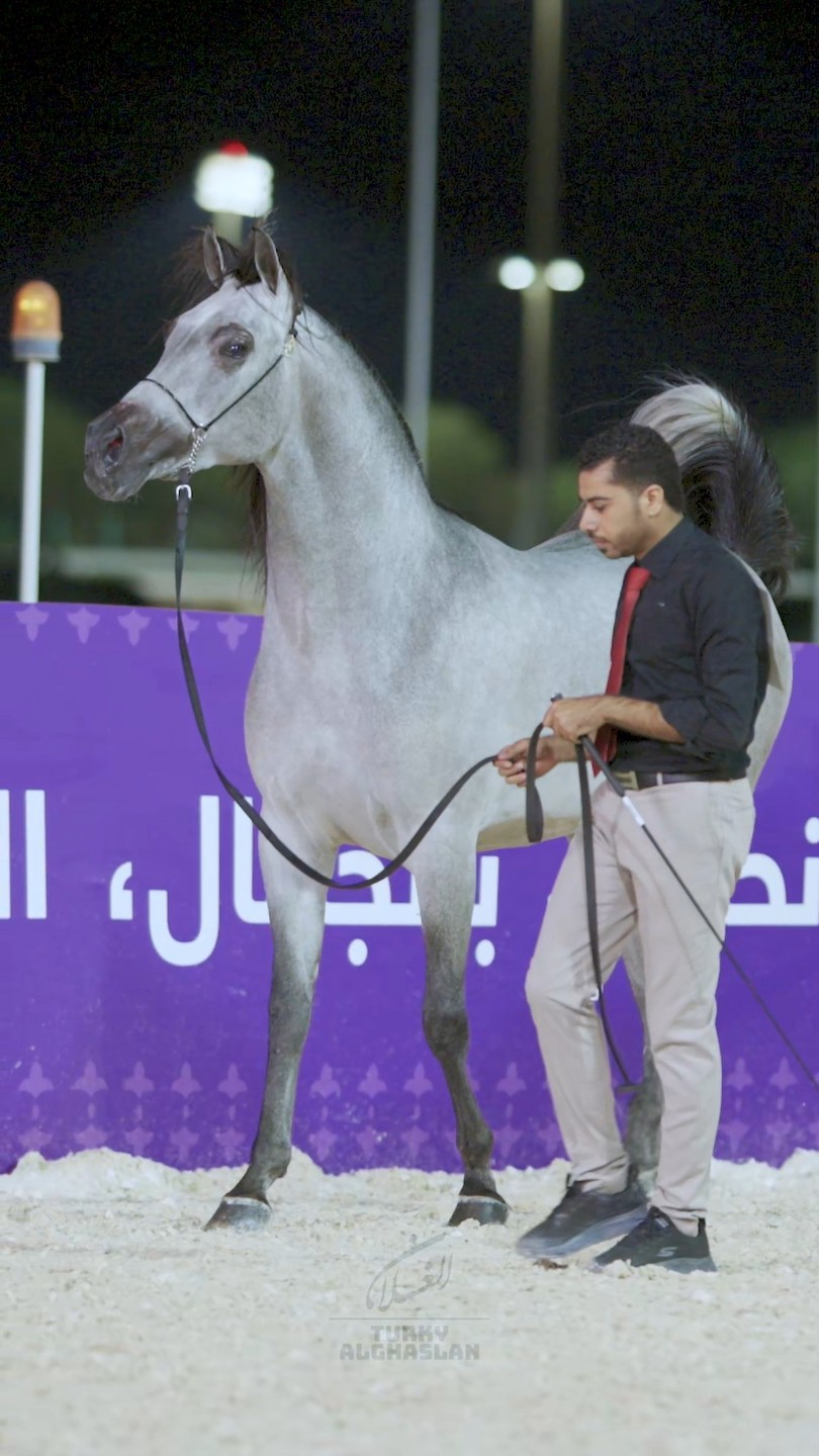 صورة المعرض